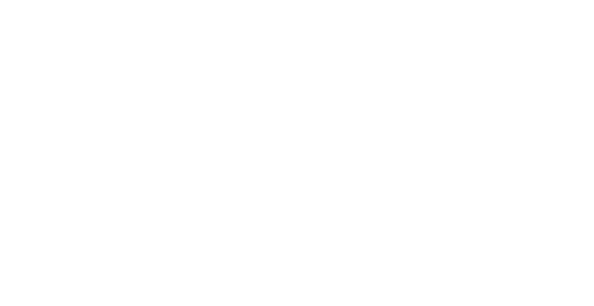 SKA — Branding Partner